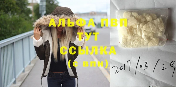 прущие крисы Алзамай