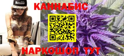 apvp Моздок