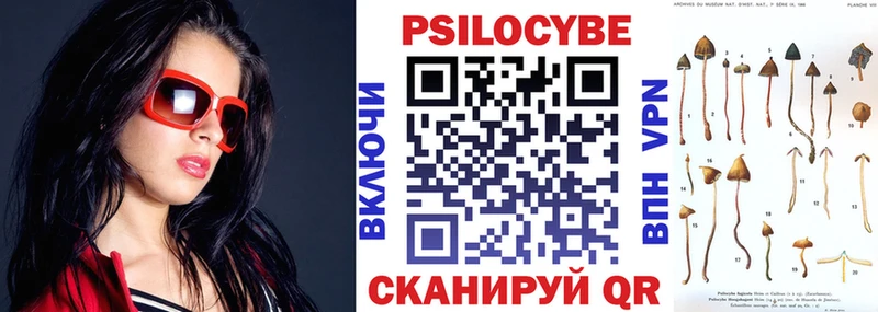Псилоцибиновые грибы GOLDEN TEACHER Чистополь