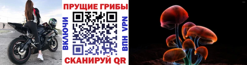 Галлюциногенные грибы MAGIC MUSHROOMS  Чистополь 