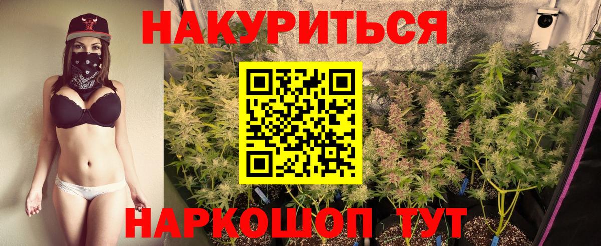 МАРИХУАНА MAZAR  Вход с VPN  Чистополь  Марихуана THC 21%  Каннабис сатива 